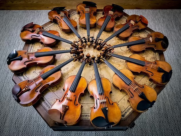 Summer Strings On Stage